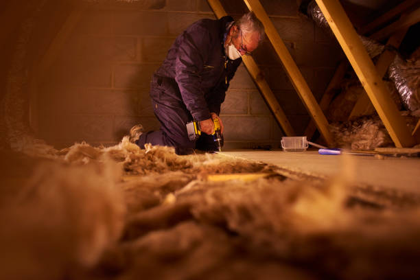 Best Energy Efficiency Insulation in Winnsboro Mills, SC