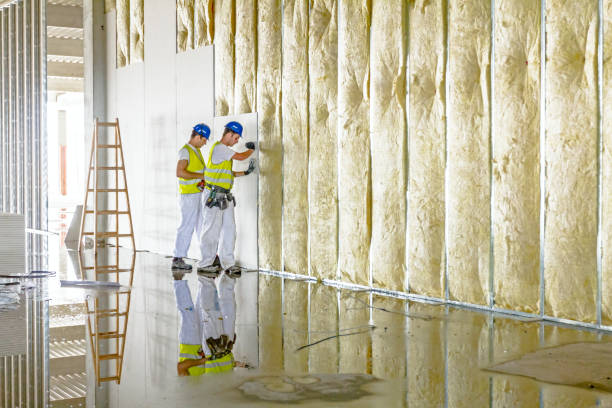 Best Spray Foam Insulation in Winnsboro Mills, SC